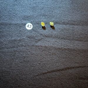 Elegant Yellow Stud Earrings